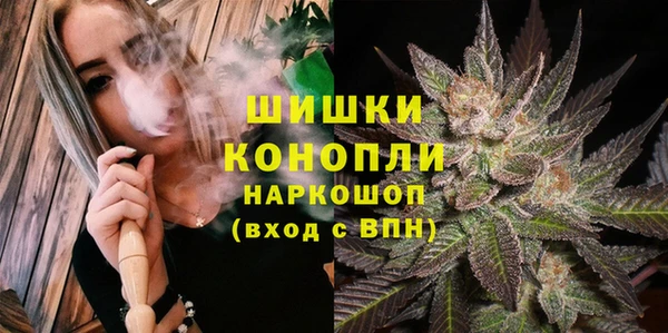 таблы Новозыбков