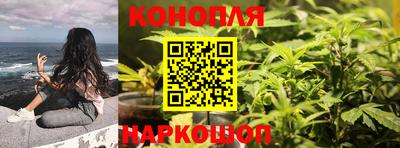 дмт Гагарин