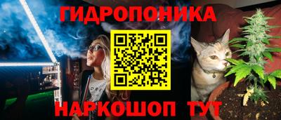 МДПВ Гатчина