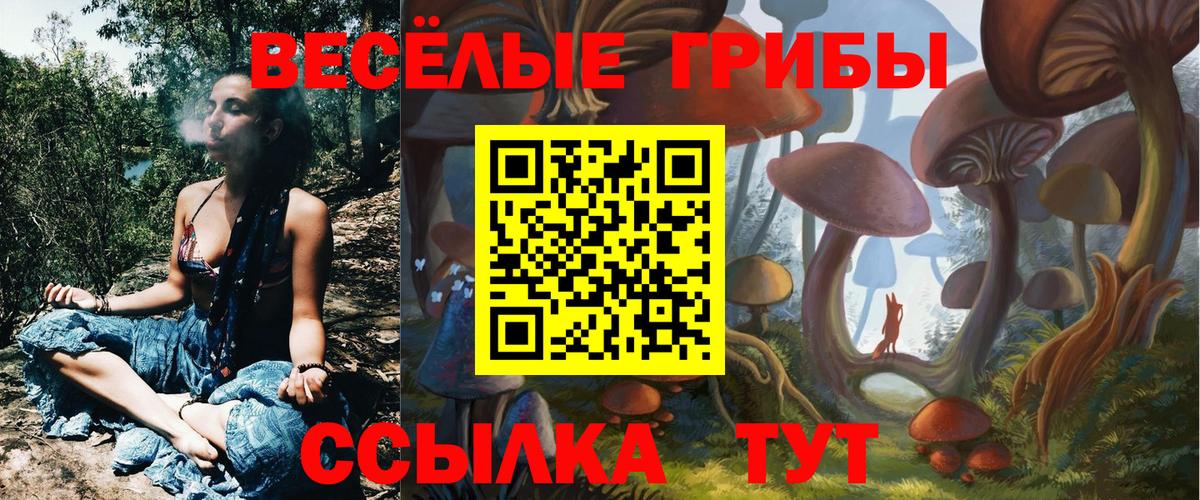 Галлюциногенные грибы GOLDEN TEACHER  Псилоцибиновые грибы Psilocybine cubensis  Вход с VPN  закладка  Лысьва 