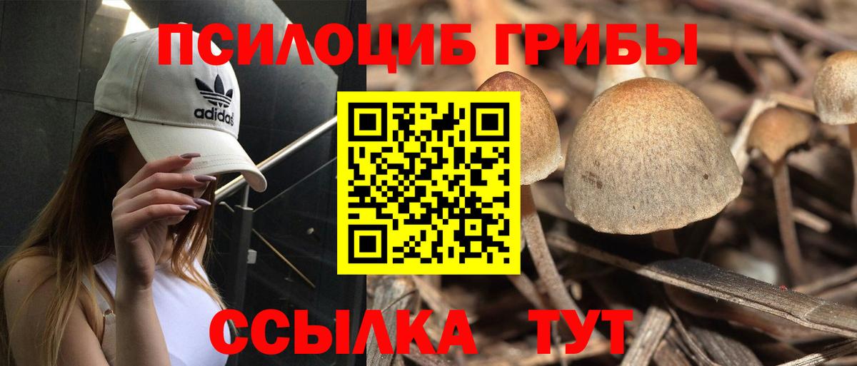 Галлюциногенные грибы мухоморы Лысьва