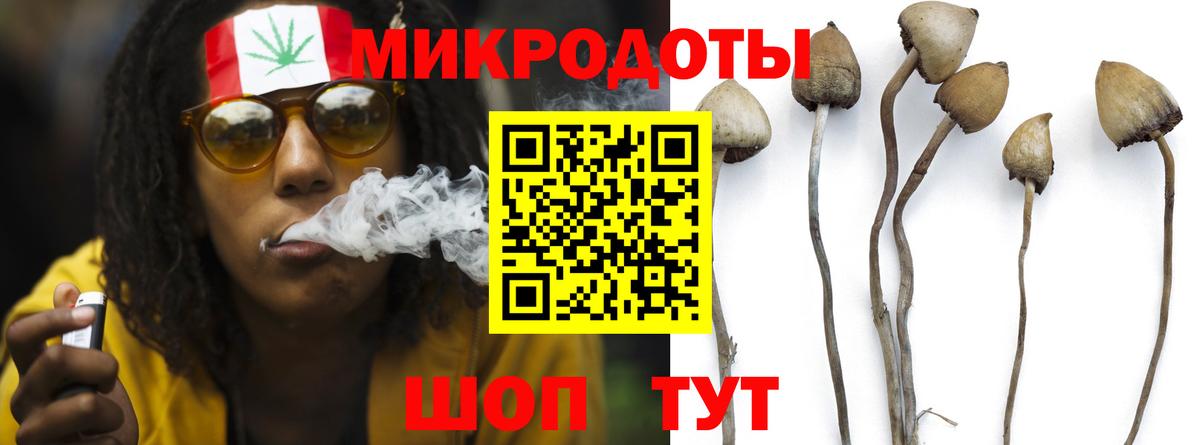Псилоцибиновые грибы GOLDEN TEACHER Лысьва